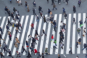 People crossing Shibuya Crossing, Shibuya, Tokyo, Honshu, Japan, Asia