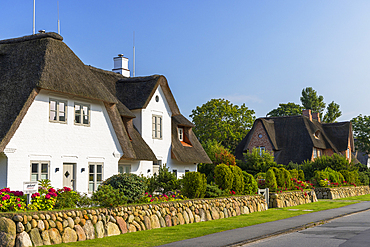 Traditional thatched houses, Keitum, Sylt, Schleswig Holstein, Germany, Europe