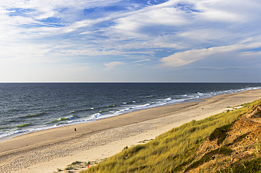 Person walking on Red Cliffs beach (Rotes Kliff), Kampen, Sylt, Schleswig Holstein, Germany, Europe