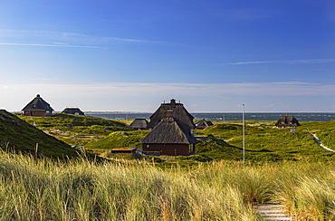 Traditional thatched houses, Hornum, Sylt, Schleswig Holstein, Germany, Europe