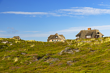 Traditional thatched houses, Rantum, Sylt, Schleswig Holstein, Germany, Europe