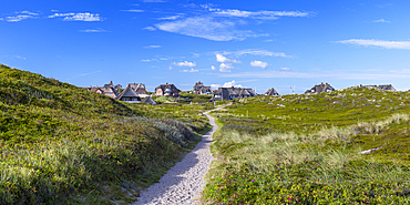 Path through heather, Rantum, Sylt, Schleswig Holstein, Germany, Europe