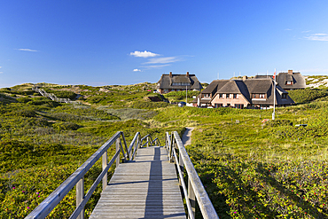 Traditional thatched houses amongst sand dunes, Rantum, Sylt, Schleswig Holstein, Germany, Europe