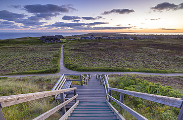 Walkway down to heather and sand dunes at dawn, Kampen, Sylt, Schleswig Holstein, Germany, Europe