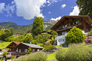 Traditional chalets on hillside, Brienz, Bernese Oberland, Switzerland