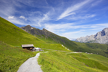 First mountain, Grindelwald, Jungfrau Region, Bernese Oberland, Switzerland