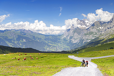 Cyclists at Kleine Scheidigg, Jungfrau Region, Bernese Oberland, Switzerland