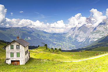 Kleine Scheidigg, Jungfrau Region, Bernese Oberland, Switzerland