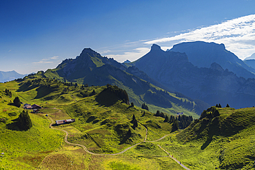 Hiking trail at Schynige Platte, Jungfrau Region, Bernese Oberland, Switzerland