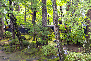 Garden of Kawarada-ke Samurai House on Samurai Residence Street, Kakunodate, Akita, Japan