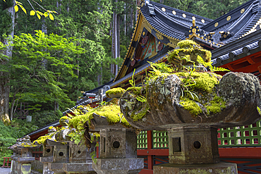 Stone lanterns at Futarasan Temple (UNESCO World Heritage Site), Nikko, Tochigi, Japan