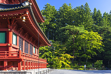 Main hall of Rinnoji Temple (UNESCO World Heritage Site), Nikko, Tochigi, Japan
