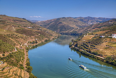 Tourist boats, vineyards and the Douro River, Alto Douro Wine Valley, UNESCO World Heritage Site, Portugal, Europe