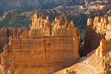 Hiking the Queens Garden Trail, Bryce Canyon National Park, Utah, United States of America, North America