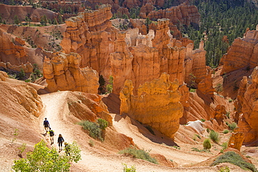 Hiking the Queens Garden Trail, Bryce Canyon National Park, Utah, United States of America, North America