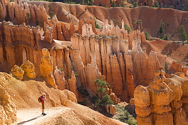 Hiker photographing on the Queens Garden Trail, Bryce Canyon National Park, Utah, United States of America, North America