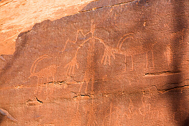 Ancestral Puebloan Petroglyphs, Upper Sand Island, Bears Ears National Monument, Utah, United States of America, North America