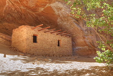 The Doll House, Ancestral (Anasazi) Pueblo building, 1150-1250 AD, Bears Ears National Monument, Cedar Mesa, Utah, United States of America, North America