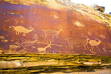 Nefertiti Petroglyphs, Gray Canyon, North of Green River, Utah, United States of America, North America