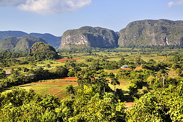 Vinales Valley, UNESCO World Heritage Site, Cuba, West Indies, Caribbean, Central America