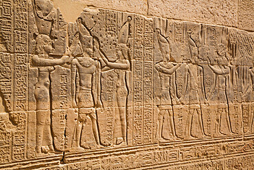 Reliefs, Temple of Arsnuphis, Temple of Isis, UNESCO World Heritage Site, Philae Island, Aswan, Nubia, Egypt, North Africa, Africa