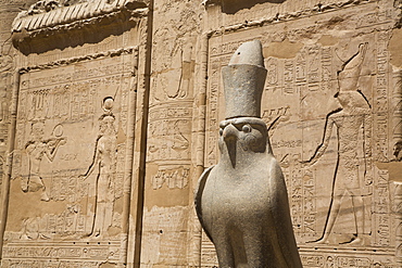 Statue of Falcon, Front of First Pylon, Temple of Horus, Edfu, Egypt, North Africa, Africa