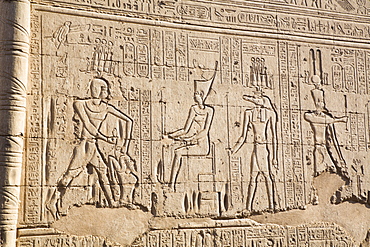 Bas Relief, External Wall, Temple of Khnum, Esna, Egypt, North Africa, Africa