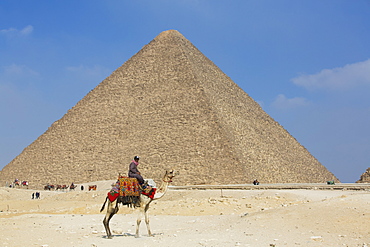 Rider and his Camel, Cheops (Khufu) Pyramid in background, Great Pyramids of Giza, UNESCO World Heritage Site, Giza, Egypt, North Africa, Africa