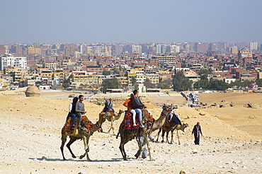 Tourists on Camels at the Great Pyramids of Giza, UNESCO World Heritage Site, Giza, Egypt, North Africa, Africa