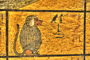 Baboon, West Wall Mural, Tomb of Tutankhamun, KV62, Valley of the Kings, UNESCO World Heritage Site, Luxor, Thebes, Egypt, North Africa, Africa