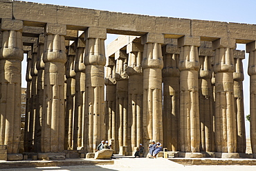 Columns of Hypostyle Hall, Luxor Temple, UNESCO World Heritage Site, Luxor, Thebes, Egypt, North Africa, Africa