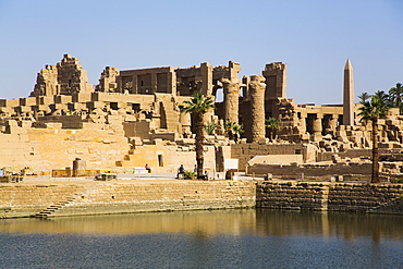 Sacred Lake, Karnak Temple Complex, UNESCO World Heritage Site, Luxor, Thebes, Egypt, North Africa, Africa