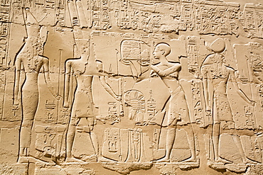 Reliefs, Offering to God Amun, Great Hypostyle Hall, Karnak Temple Complex, UNESCO World Heritage Site, Luxor, Thebes, Egypt, North Africa, Africa