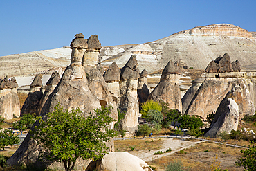 Fairy Chimneys, Pasabag Valley (Monks Valley), UNESCO World Heritage Site, Nevsehir Province, Cappadocia Region, Anatolia, Turkey, Asia Minor, Asia