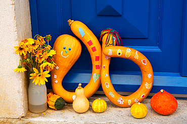 Decorative Pumpkins, Motovun, Croatia, Europe