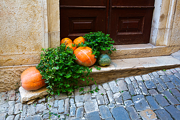 Decorative Pumpkins, Motovun, Croatia, Europe