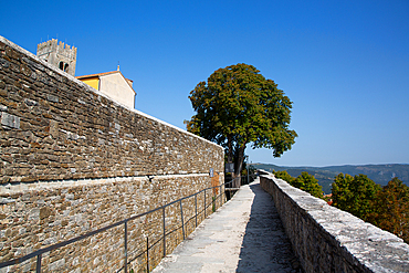 Walkway, Top of City Wall, 13th century, Motovun, Central Istria, Croatia, Europe