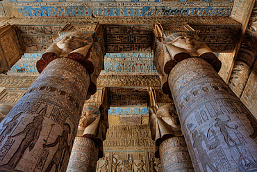 The Great Columns, Vestibule, Temple of Hathor, Dendera, Qena, Egypt, North Africa, Africa