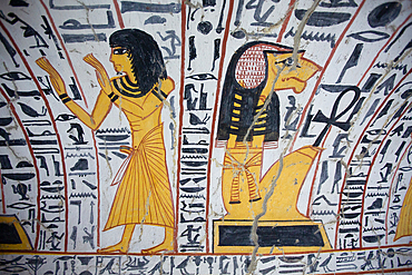 Wall paintings, Tomb of Nebenmaat, TT219, Deir el-Medina Tombs (Worker Tombs), Thebes, UNESCO World Heritage Site, Luxor, Egypt, North Africa, Africa