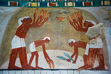 Wall Paintings, Tomb of Nakht, TT52, Tombs of the Nobles, Ancient Thebes, UNESCO World Heritage Site, Luxor, Egypt, North Africa, Africa