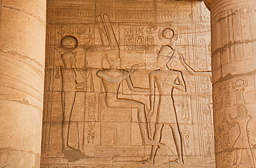 Reliefs, Hypostyle Hall, Ramesseum, Memorial Temple of Pharaoh Ramesses II, 13th century BC, Ancient Thebes, UNESCO World Heritage Site, Luxor, Egypt, North Africa, Africa