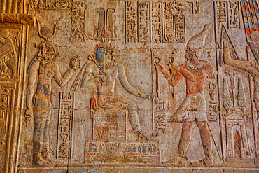 Reliefs, Temple of Opet, Karnak Temple Complex, UNESCO World Heritage Site, Luxor, Egypt, North Africa, Africa