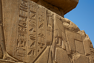 Bas Relief, Hiereoglyphics, Karnak Temple Complex, UNESCO World Heritage Site, Luxor, Egypt, North Africa, Africa