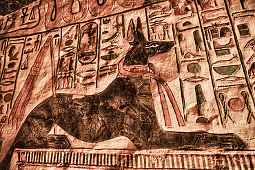 Image of the God Anubis, Paintings and Relief, Tomb of Nefertari, QV66, Valley of the Queens, Ancient Thebes, UNESCO World Heritage Site, Luxor, Egypt, North Africa, Africa