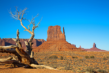 West Mitten Butte, Monument Valley Navajo Tribal Park, Utah, USA