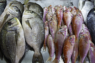 Seafood, Fethiye Fish Market, Fethiye, Mugla Province, Turkey