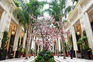 Courtyard of the Hotel de Paris, one of the world's most exclusive hotels, Monte Carlo, Monaco