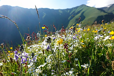 Mountain landscape, Upper Khevsureti region, Georgia