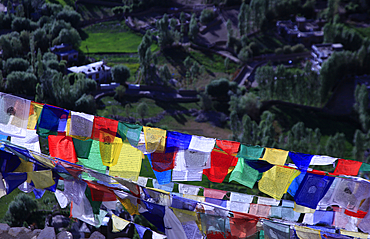 Prayer flags flying above the city of Leh, the capital of Ladakh, India