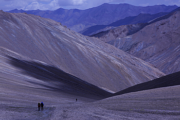 Trekkers and ponies crossing the Zalung Karpo pass, Zanskar Range, Ladakh, India